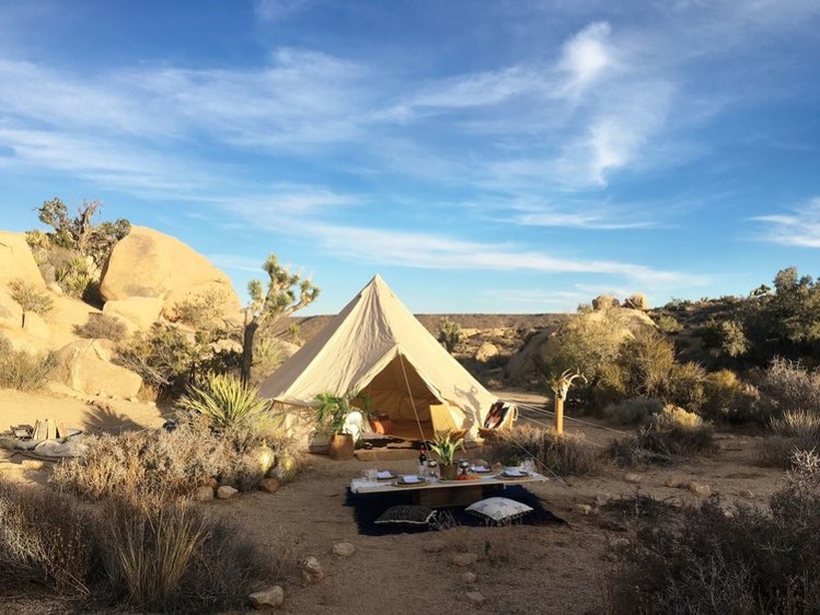 Camp'd Out Joshua Tree Experience